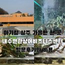 예쁜 아이 센터 | 상주 가볼만한 곳 내수면 관상어 비즈니스센터 관람 후기