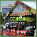 2024금산 세계인삼축제 폐막식 초대가수 축제 기본정보 주차장 후기