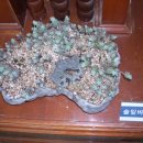 동의중학교 이미지