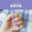 네일뉴아 | [경대 북문 네일] 대구 북구 일층네일 보라보라해