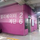 다이어트복싱킥복싱MMA우슈 | 일산복싱 &amp; 일산 킥복싱 PT 가격과 스파링 후기 공개!