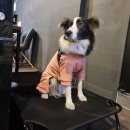 Jin fitness 이미지