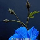 9월22일(금) 숭이방으로 오이소예 이미지