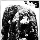 여주-0904 이미지