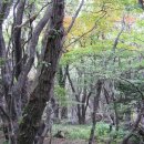 제주 물장오리오름 이미지