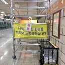 프레빈 | 딸기향 해열제는 이상한 맛이 난다