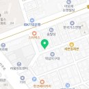 강남 요미독앤캣 강아지 분양 고양이 분양 이미지