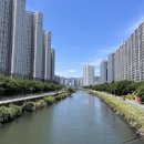 일상약국 이미지