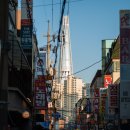 거진종합운동장 이미지