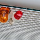 프로미자주카 이미지