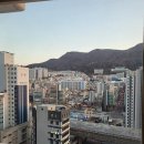 버스정류소_면목2동한신아파트 | 부산 서구의 안전한 방충망, 헬로방충망 소개합니다!