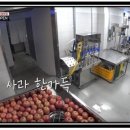 금해특산물 네이버블로그