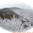 눈과 바람의 나라... 괘관산! 조망을 대신한 겨울산행의 진수를 느끼다. 이미지