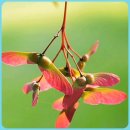 건강예찬 이미지