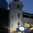 강릉바다회포차 | 호텔 탑스텐 근처 맛집, 금진바다 회 포차 내돈내산 : 1인 회정식 후기!