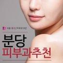 분당피부과추천 피부 탄력감을 찾을수 있는 방법은? 이미지