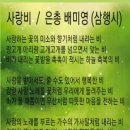 사랑비 / 삼행시 이미지