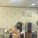 현헤어필 - 홍천군 | 현헤어필
