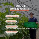 서현농장 이미지
