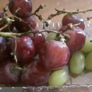 이슬목장 이미지