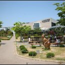 목포자연사박물관 이미지