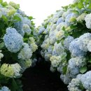 금서방네이층집 이미지