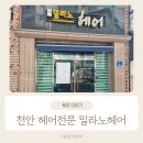 밀라노헤어볼 네이버블로그
