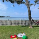 쉼표고성 이미지