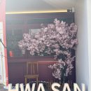 화산 | 대전 대흥동 은행동 맛집 샤브샤브 화산샤브 솔직후기