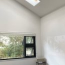 심플토산 이미지