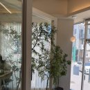 비너스바비너스Bar | 혜화 맛집 | 나고야식 미소카츠가 특별했던 카산도 혜화대학로점 솔직후기