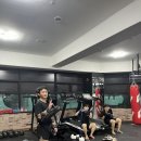 가은미트 이미지