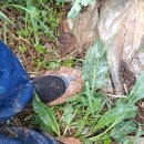 고무신농원 이미지