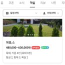 헤윰,소 이미지