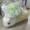 에덴빨래방 | 이사했더니 끝나버린 2월 일상