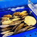 미사강변중앙로204번길 이미지