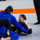 파이트체육관 이미지