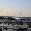 구만2리 낙조전망대 이미지