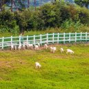 대사할머니경로당 이미지