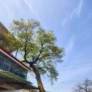 객현2리 이미지