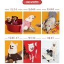 비와씨 - 수원시 권선구 세권로 109 | BYC 신상 개리야스 강아지 김장 조끼 FW 시즌 사전예약 내돈내산 솔직 후기.