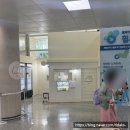 여우목벨리민박 | 9/14 ~ 9/16 제주도 가족여행 첫날