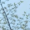 위드치과보철과의원 이미지