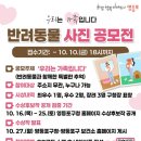 영등포구 이미지