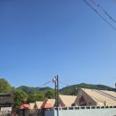 숲515 | 용인 셀프 바베큐장 묵리숲 캠핑식당 후기에요.