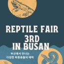 건이네 파충류 이미지