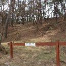 소나무동산 이미지