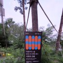 아뜰리에 Daum카페