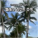 코사무이 셀레스 리조트 조식 후기