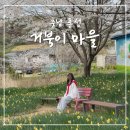 홍성 버스터미널 | [공지] 홍성 여행 벚꽃 수선화 거북이마을 위치 개화상태 주차